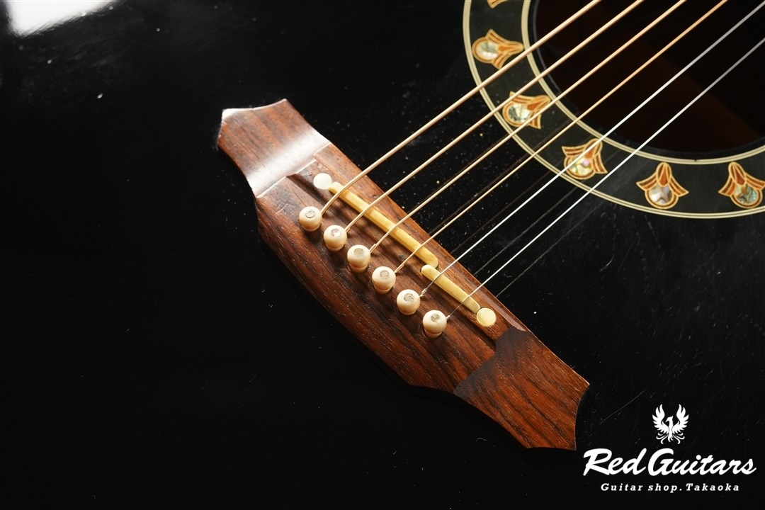 Takamine アコースティックギター Takamine 100CUSTOM Thinline Series 〜TSP100GP〜 Sky Blue